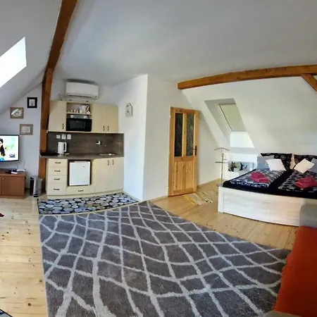 Nad Vinnym Sklipkem Apartmán